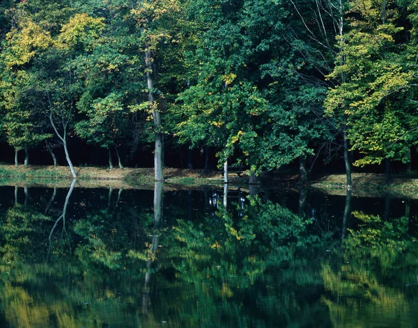 Herbstwald Mit See — Stockfoto