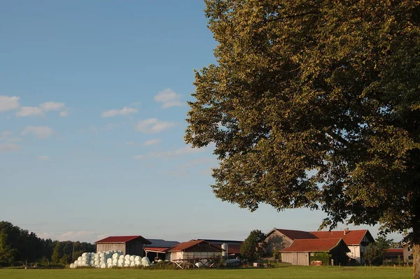 Widok Góry Alp — Zdjęcie stockowe