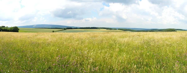 Sommaräng Med Idarwald Bakgrunden Panorama — Stockfoto