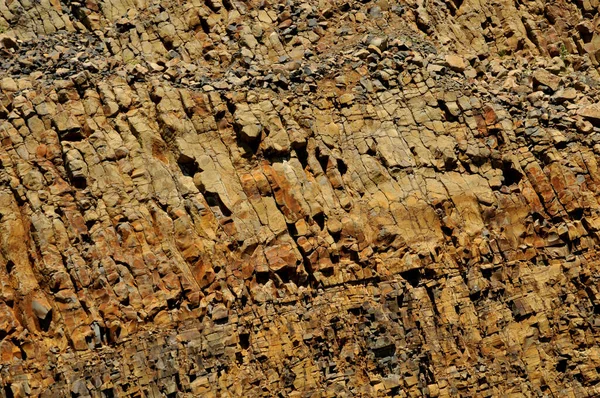 Holz Hintergrund Holz Textur — Stockfoto