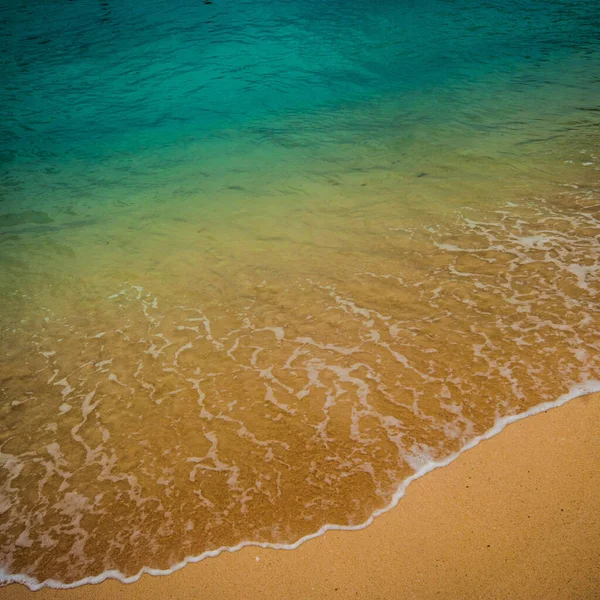 Água Transparente Acima Uma Praia Areia Branca Nas Índias Ocidentais — Fotografia de Stock