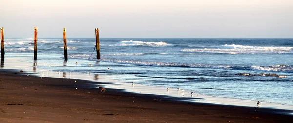 Coucher Soleil Ormond Beach Avec Ciel Magnifique Eau Bleue — Photo