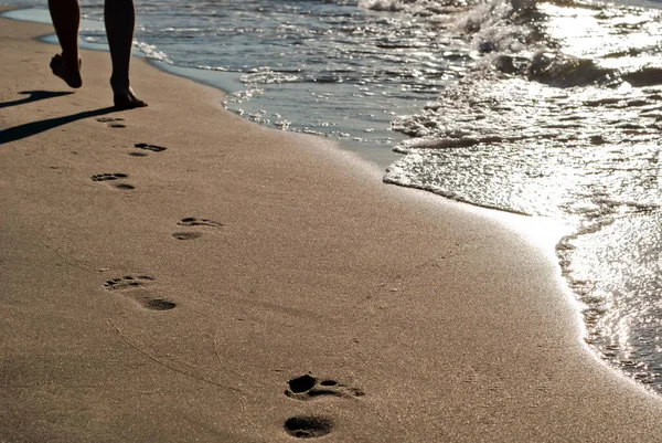 水に沿って砂の中の足のプルーン — ストック写真