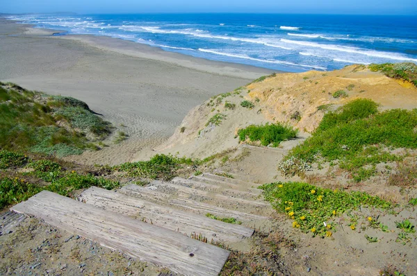 カリフォルニアの海岸沿いの砂浜に続く険しい木製の階段 — ストック写真