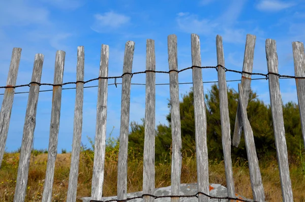 Забор Берегу Стенда — стоковое фото