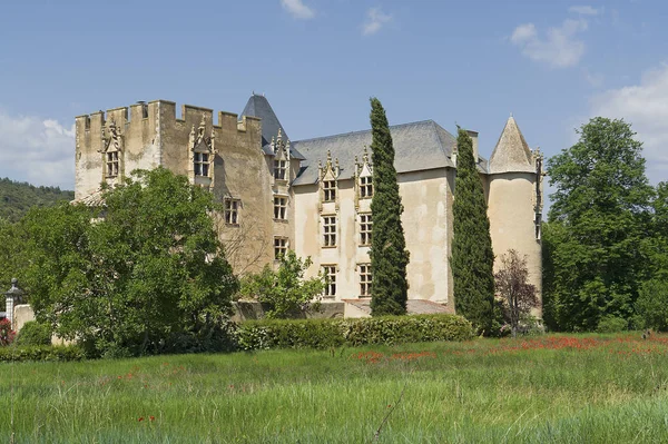 Castillo Histórico Allemagne Sur Francia — Foto de Stock