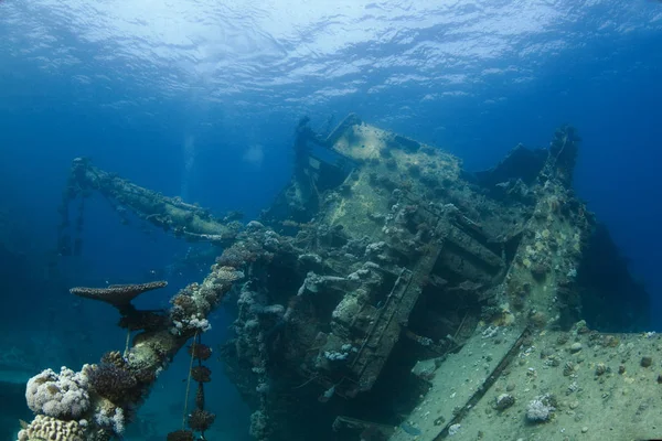 Das Wrack Von Abu Ghusoon Der Nähe Von Marsa Alam — Stockfoto