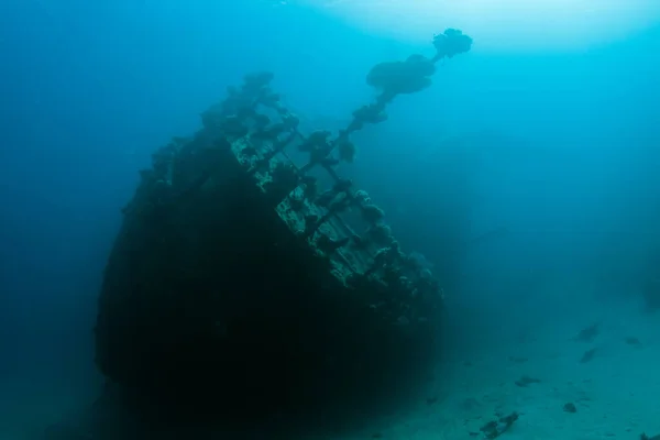 Wreck Abu Ghusoon Marsa Alam Red Sea Egypt — Stock Photo, Image