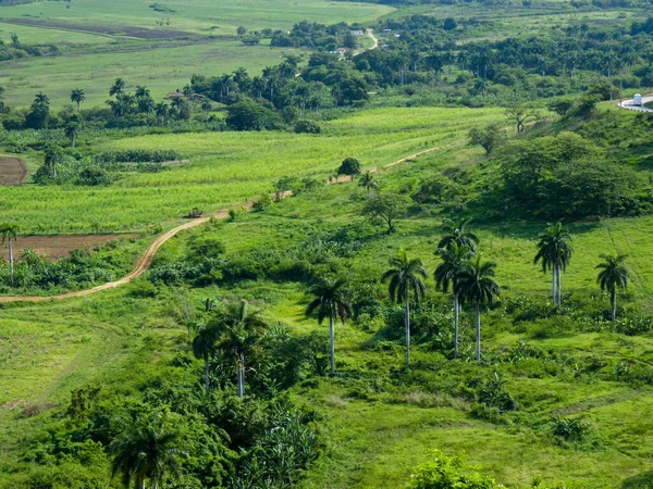 Valle Los Ingenios — Stok fotoğraf