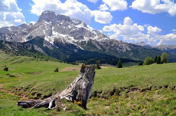 View Alps Mountains — Stock Photo, Image