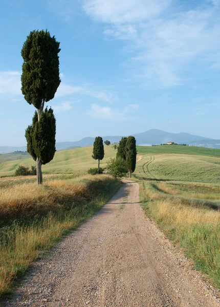 Paisaje Toscano Centro Italia — Foto de Stock