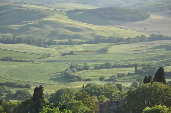 Uitzicht Groene Heuvels Toscane Italië — Stockfoto