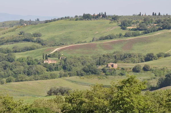 Vista Das Colinas Verdes Toscana Itália — Fotografia de Stock