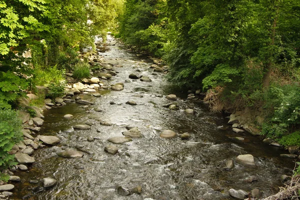 Prachtig Uitzicht Het Natuurlandschap — Stockfoto