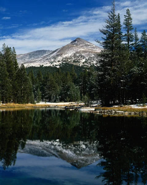 Natur Yosemite Nationalpark Usa — Stockfoto