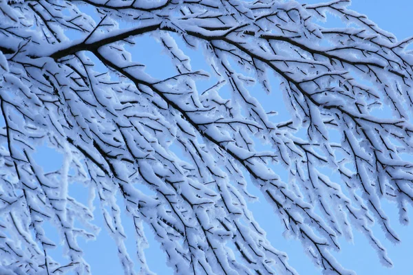 Schilderachtig Uitzicht Prachtig Alpenlandschap — Stockfoto