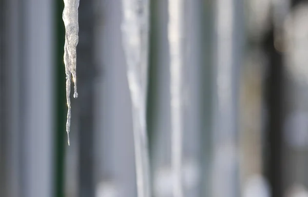 Vista Una Scena Invernale — Foto Stock