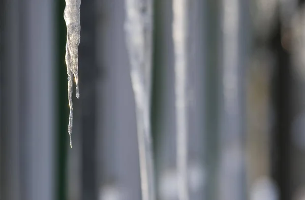 Vista Una Scena Invernale — Foto Stock