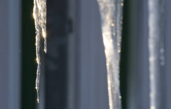 Eiszapfen Kalten Wintertagen — Stockfoto