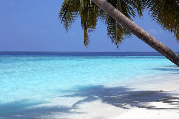 Spiagge Nelle Maldive — Foto Stock