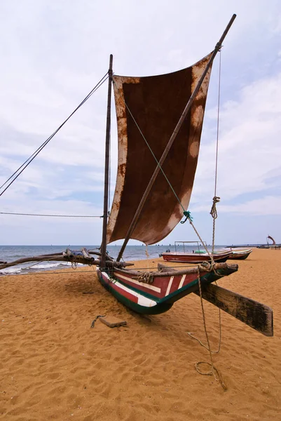 Anischten Negombo Sri Lanka — Stockfoto