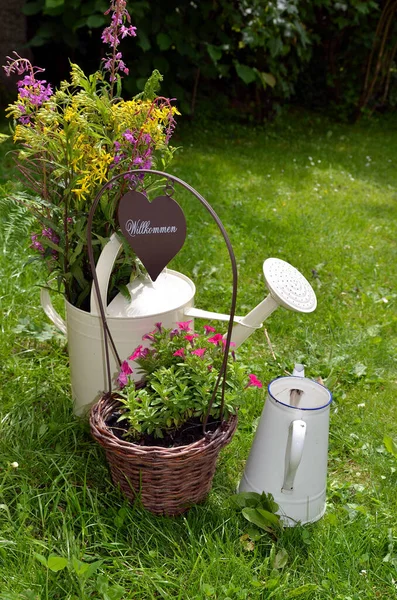 Gartendekoration Topfblumen — Stockfoto