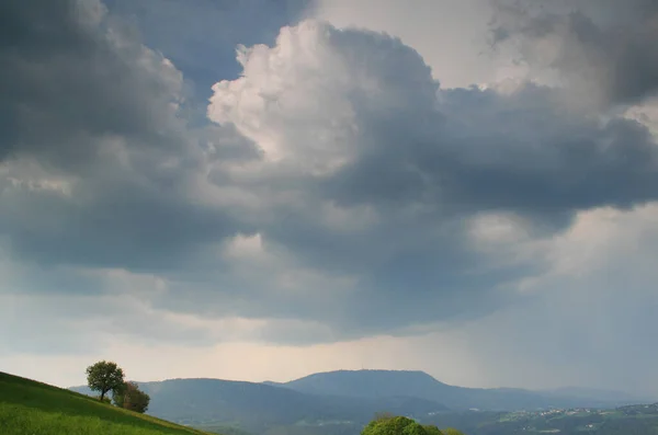 Paysage Estival Avec Herbe Verte Nuages — Photo