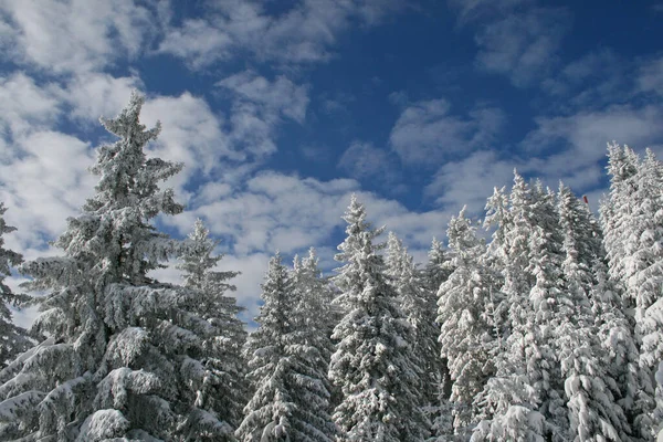 Neve Nelle Alpi — Foto Stock