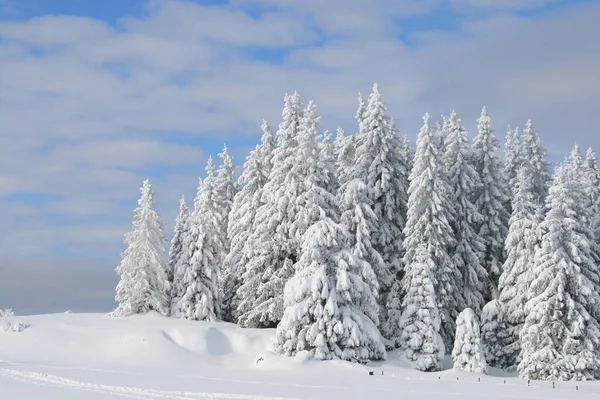 Neige Dans Les Alpes — Photo