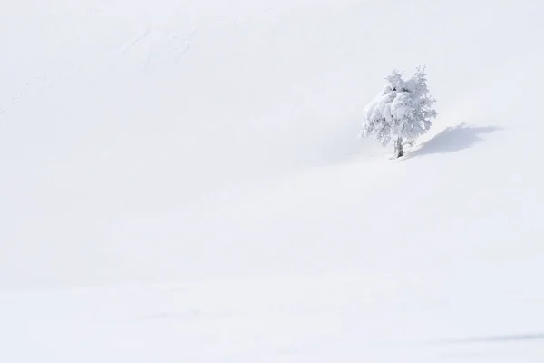 Nieve Los Alpes —  Fotos de Stock