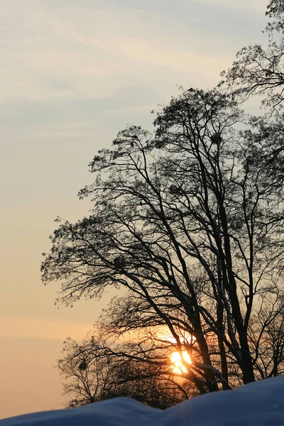 Bella Vista Sul Cielo Tramonto — Foto Stock