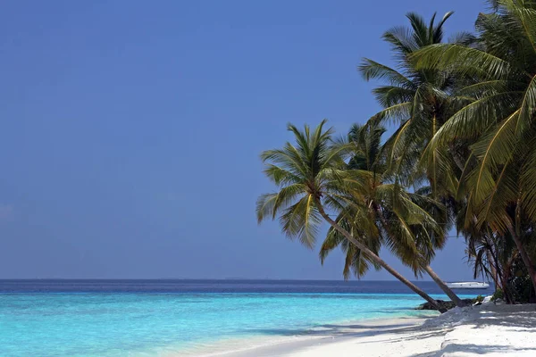 Spiaggia Acqua Scena Immagine — Foto Stock