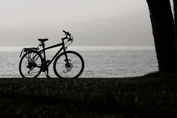 Black White Picture Bicycle Sea Background — Stock Photo, Image
