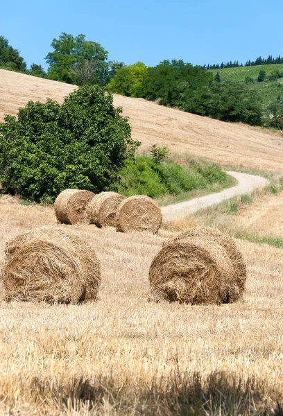 Carretera Montaña Con Bales Heno — Foto de Stock