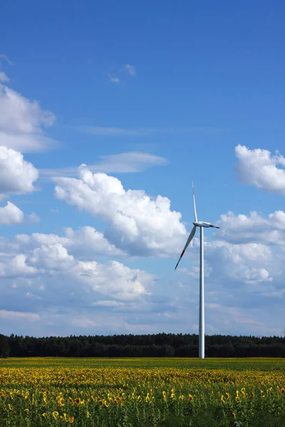 Turbina Eólica Energia Eólica — Fotografia de Stock