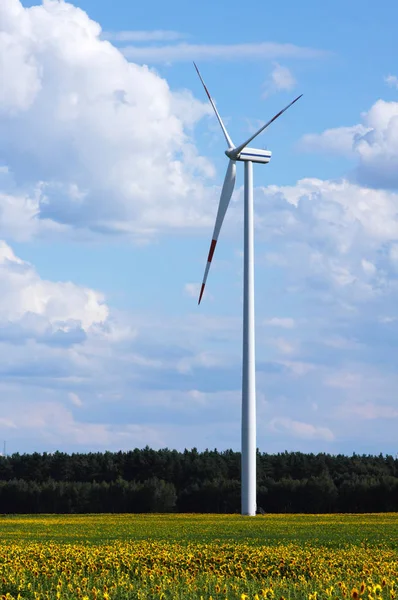 Energia Eólica Produção Alternativa Electricidade — Fotografia de Stock