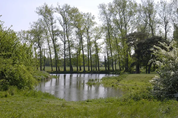 River Arun Stopham Perto Pulborough West Sussex Inglaterra — Fotografia de Stock