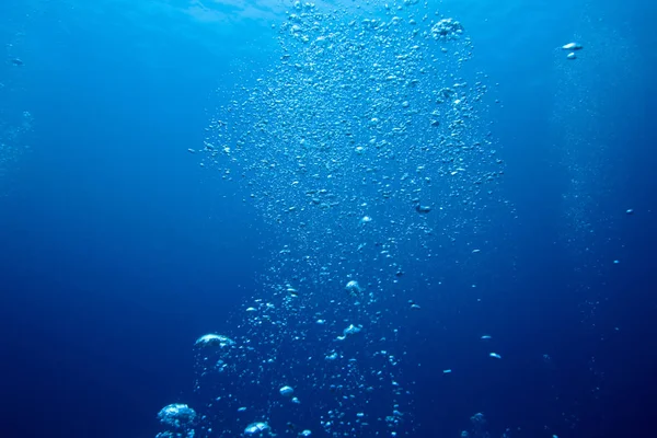 Bubliny Potápěče Scuba Stoupající Povrch — Stock fotografie