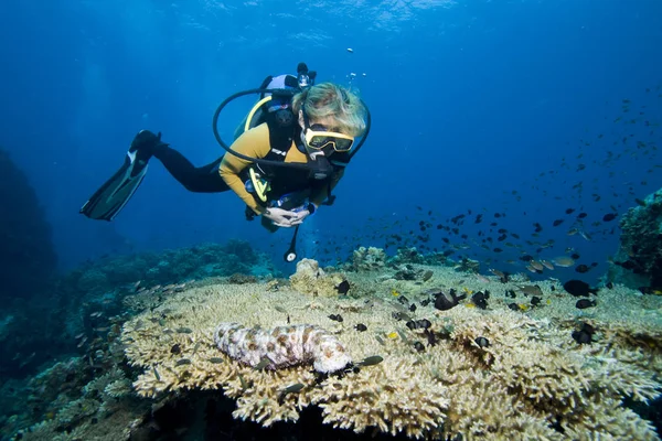 サンゴと魚の上にホバリング女性ダイバー — ストック写真