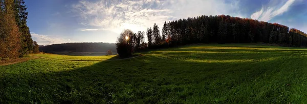 Paisagem Rural Com Árvores — Fotografia de Stock