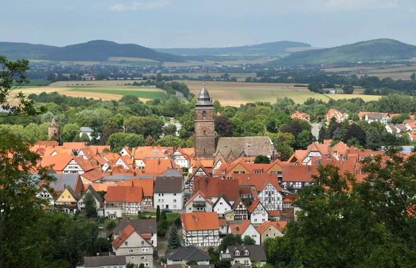 Närbild Bild Vacker Klump Fågel Naturen — Stockfoto