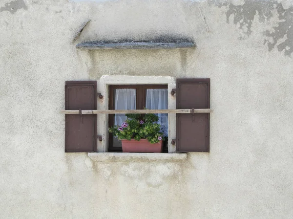 Okno Květinami Zdi — Stock fotografie