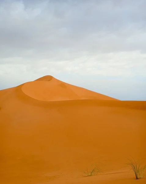 Αμμόλοφος Στη Σαχάρα Νωρίς Πρωί — Φωτογραφία Αρχείου