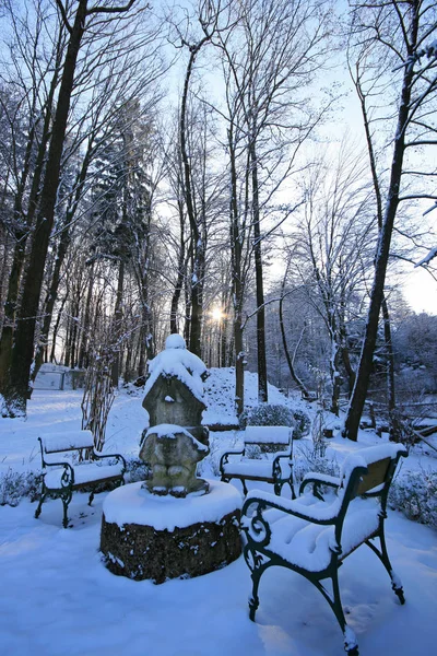 Inverno Parque — Fotografia de Stock