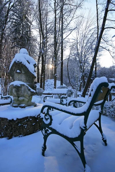 Inverno Parque — Fotografia de Stock
