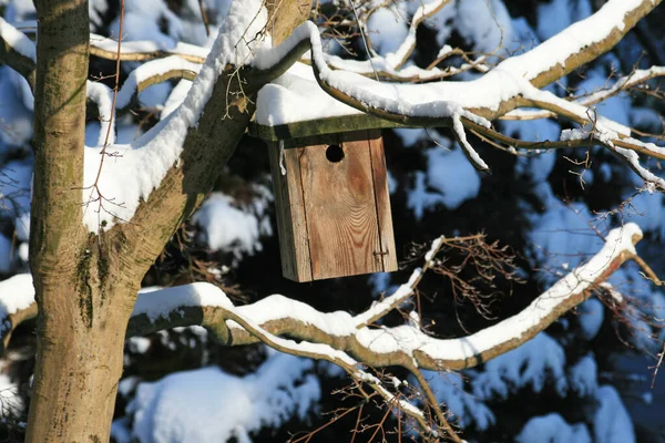 Vogelhaus Winter — Stockfoto