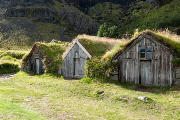 Kleine Holzhäuser Mit Gras Auf Dem Dach Island — Stockfoto