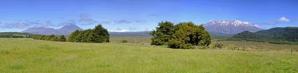 Parc National Tongariro — Photo