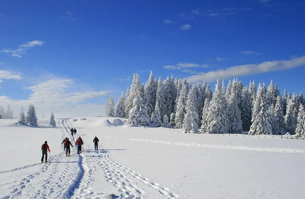 Inverno Aplan — Fotografia de Stock