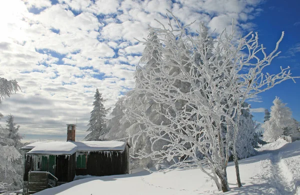 Zima Alpách — Stock fotografie